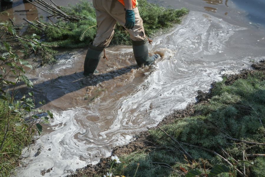 <who> Photo Credit: Aaron Hemens </who>     A technician walks upstream through a pool of water beginning to develop as a beaver dam analogue is built along Coteay Creek on Sept. 10. 