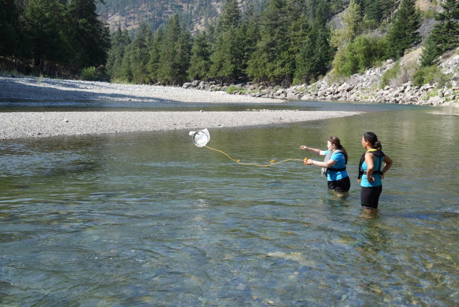 <who> Photo Credit: OASISS </who> Sampling the Similkameen River for invasive mussels near Bromley Rock.