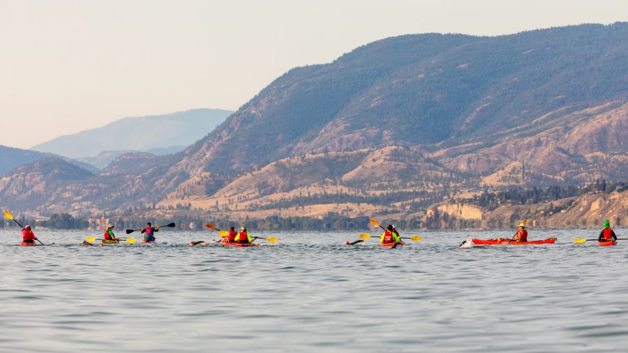 <who>Photo Credit: Gord Goble</who> Scene from 2024 Ultraman Canada