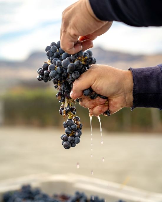 <who>Photo Credit: Adega On 45th/Sandy Wei, Wei with Photography</who>