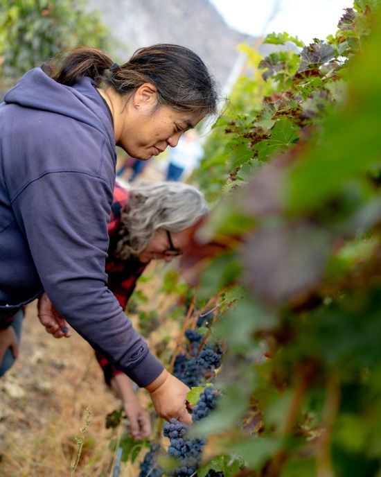 <who>Photo Credit: Adega On 45th/Sandy Wei, Wei with Photography</who>