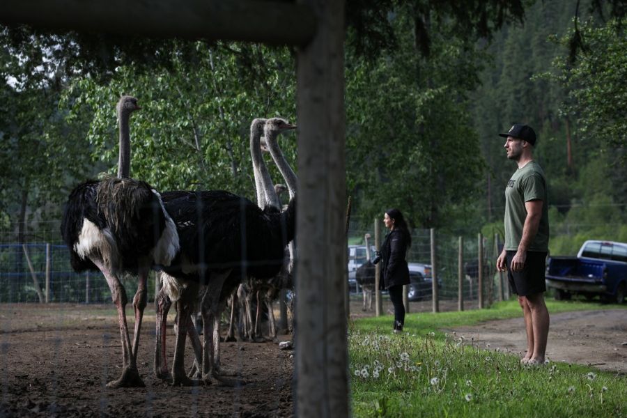 <who> Photo Credit: Canadian Press