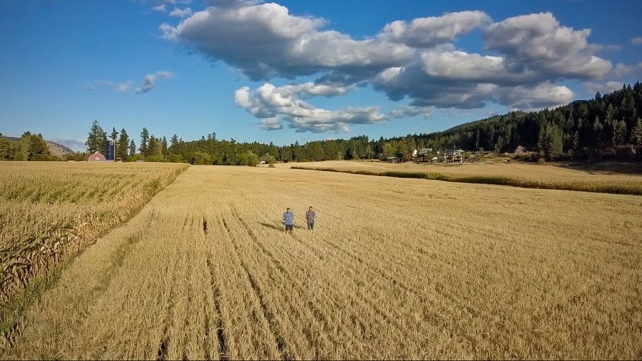 <who> Photo Credit: Okanagan Spirits Craft Distillery