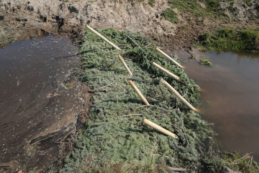 <who> Photo Credit: Aaron Hemens </who> A recently built beaver dam analogue along Coteay Creek on Sept. 10.