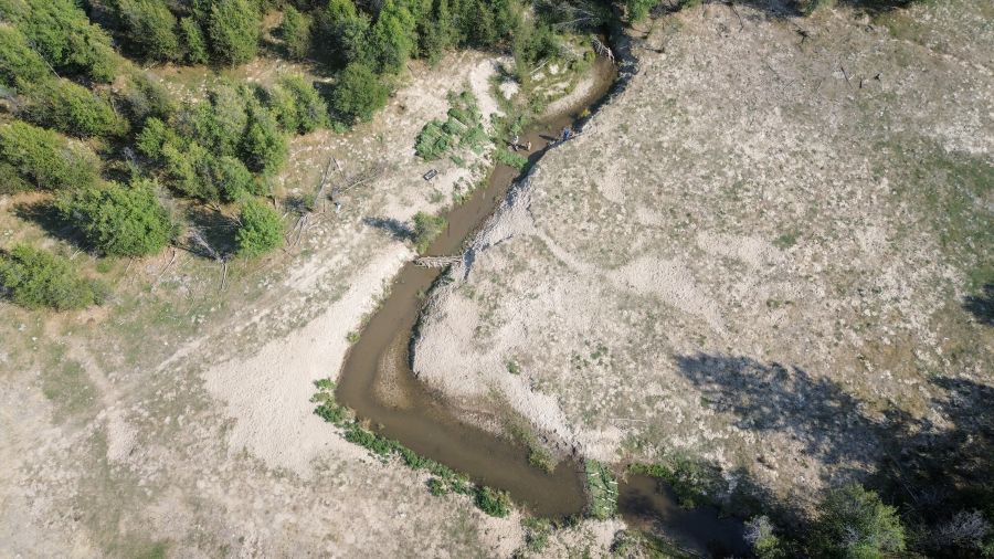 <who> Photo Credit: Aaron Hemens </who>          As waters are slowed by beaver structures, they meander more and help their surroundings stay greener. An aerial view looking upstream of crews working along on Coteay Creek, with two beaver dam analogues and two post-assisted-log structures within the frame, on Sept. 10.