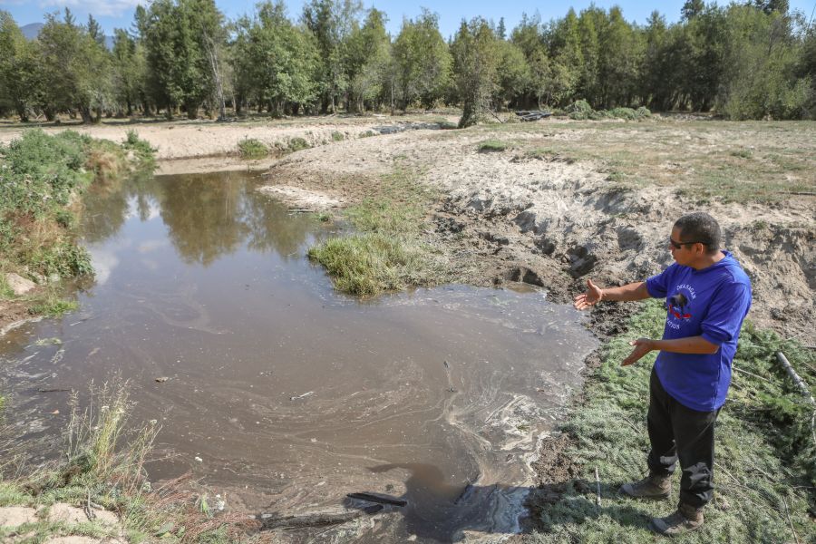 <who> Photo Credit: Aaron Hemens </who> Delaney Hall, a tmixʷ (wildlife) technician with the Okanagan Nation Alliance and a member of the Osoyoos Indian Band, gestures towards a pool forming along Coteay Creek on Sept. 10. The deeper water is the result of a human-made beaver dam analogue.