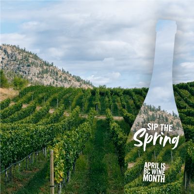 <who>Photo Credit: Wines of BC</who>