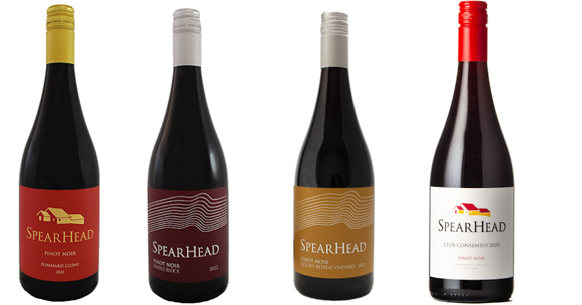 <who>Photo credits: SpearHead Winery</who>The platinum-and-gold-winning Pinots, from left, 2022 Pommard Clone ($46), 2022 Saddle Block ($39), 2021 Golden Retreat ($39) and 2022 Club Consensus ($37).