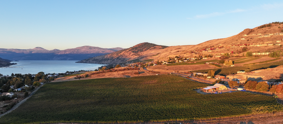 <who>Frind Estate Winery
