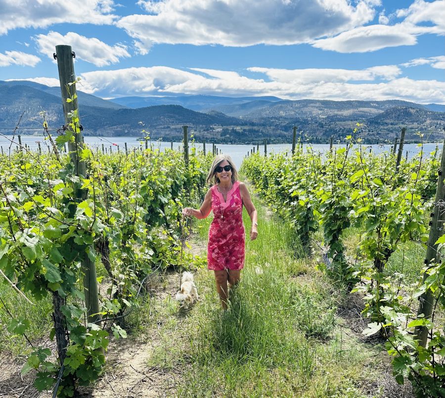 <who>Photo credit: Steve MacNaull/NowMedia Group</who>A walk in the vineyard at Deep Roots Winery.