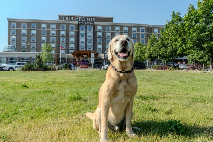 <who>Photo credit: Argus Properties</who>