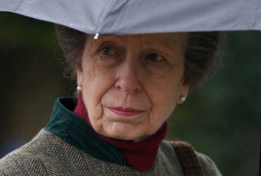 <who>Photo Credit: The Royal Family/X</who>Princess Anne