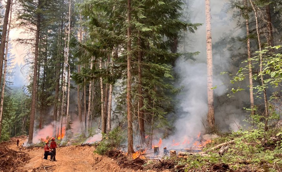 <who> Photo Credit: BC Wildfire Service