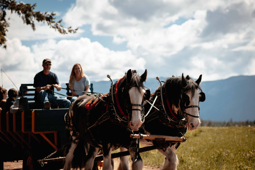 <who>Photo credit: Horse Drawn Okanagan 