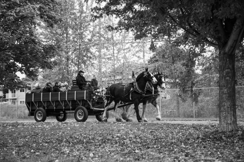 <who>Photo credit: Horse Drawn Okanagan 