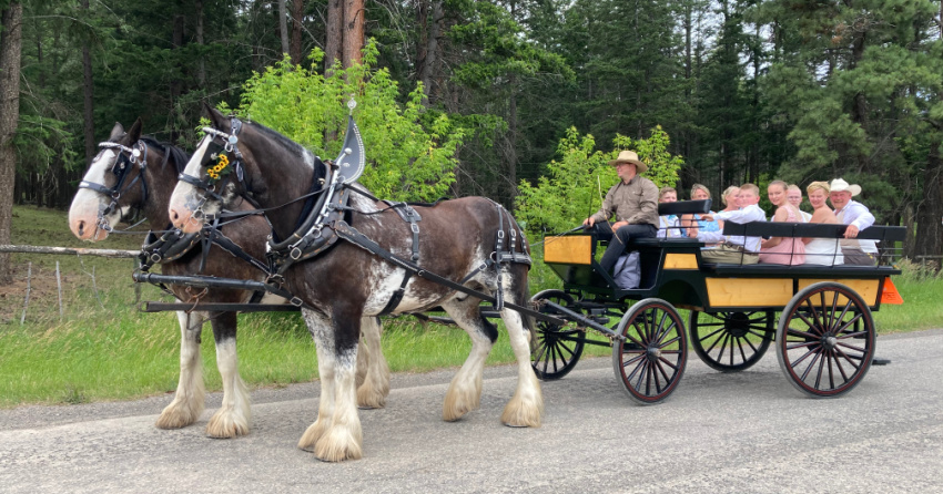 <who>Photo credit: Horse Drawn Okanagan 