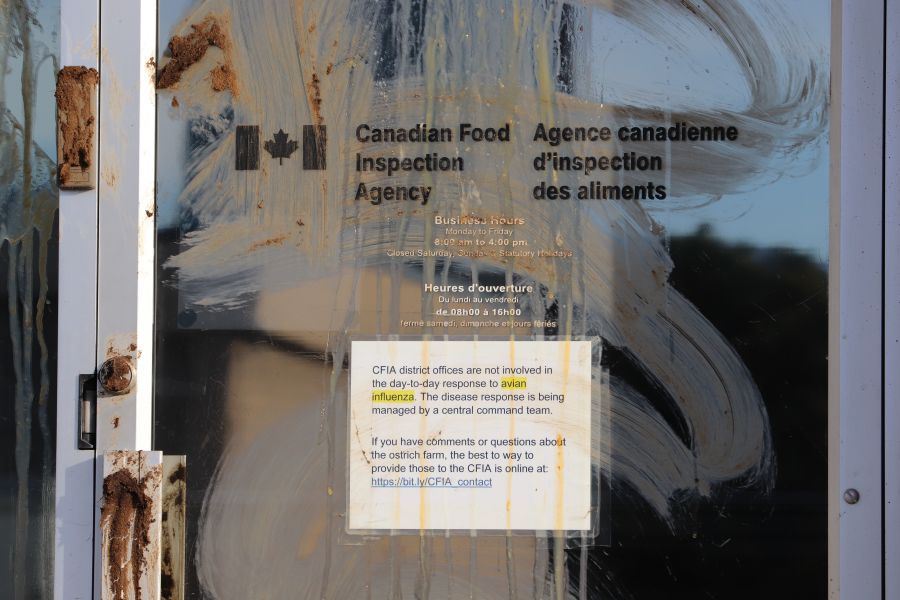 <who> Photo Credit: NowMedia/Corvin Vaski