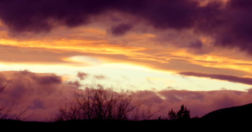 <who> Photo credit: Ed Burke