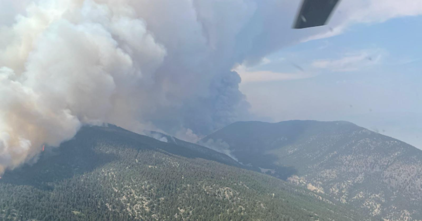 <who> Photo Credit: BCWS