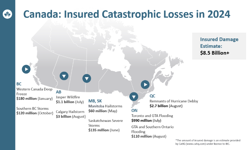 <who> Photo Credit: IBC
