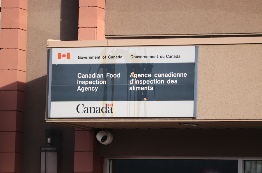 <who> Photo Credit: NowMedia/Corvin Vaski