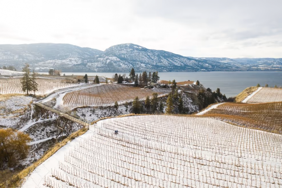 <who>Visit Penticton</who>