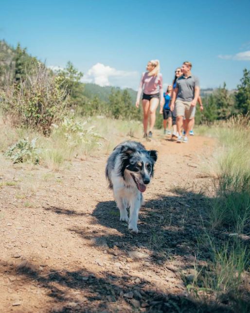 <who>Photo credits: Wilden</who>Much of Wilden's phase 3 development will be dog-friendly.