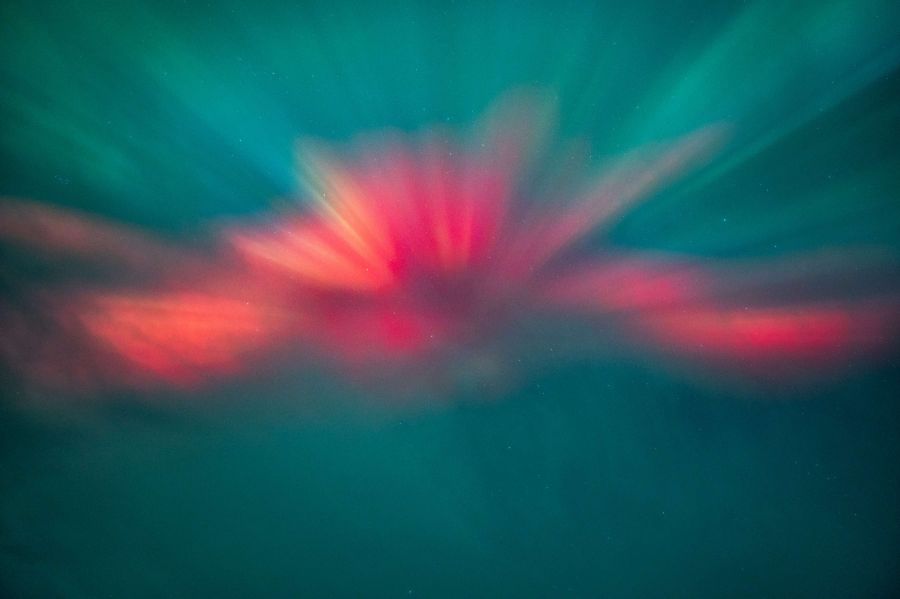 <who>Photo Credit: Roman Bartos Photography