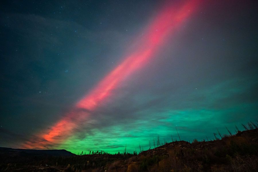 <who>Photo Credit: Roman Bartos Photography