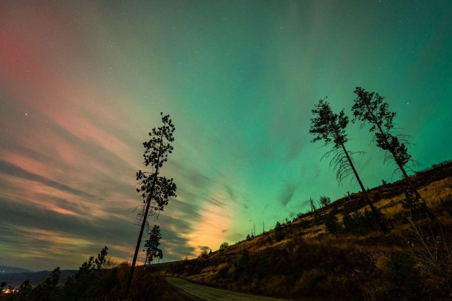 <who>Photo Credit: Roman Bartos Photography