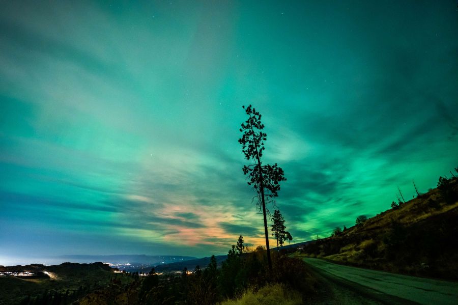 <who>Photo Credit: Roman Bartos Photography