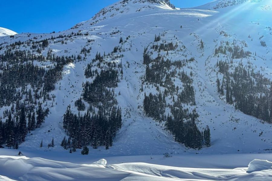 <who>Photo Credit: Avalanche Canada</who>An overview photo taken the day after the fatal incident.