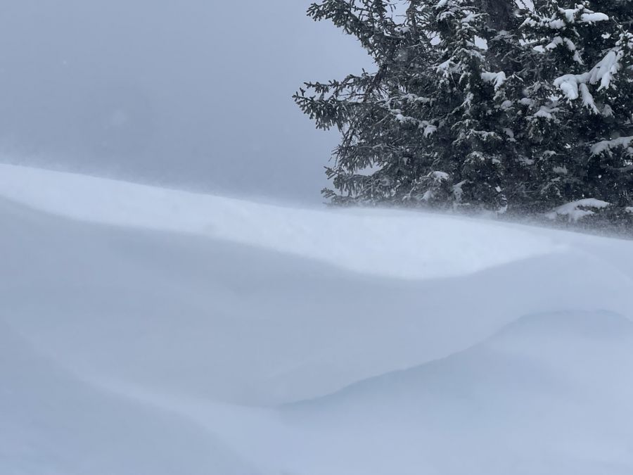 <who>Photo Credit: Jeff Moskowitz/Avalanche Canada</who>An snow report submitted to the Avalanche Canada website two days prior to the fatal slide shows an example of current conditions in the area.
