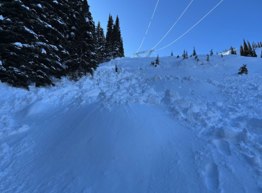 <who> Photo credit: Avalanche Canada