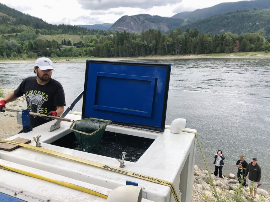 <who> Photo Credit: Bringing the Salmon Home / Ben Meunier