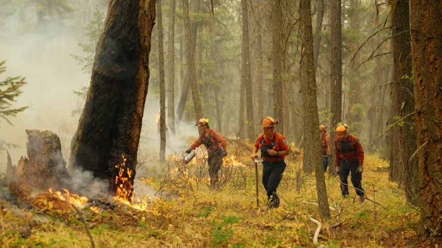 <who>Photo Credit: BC Wildfire Service/Facebook