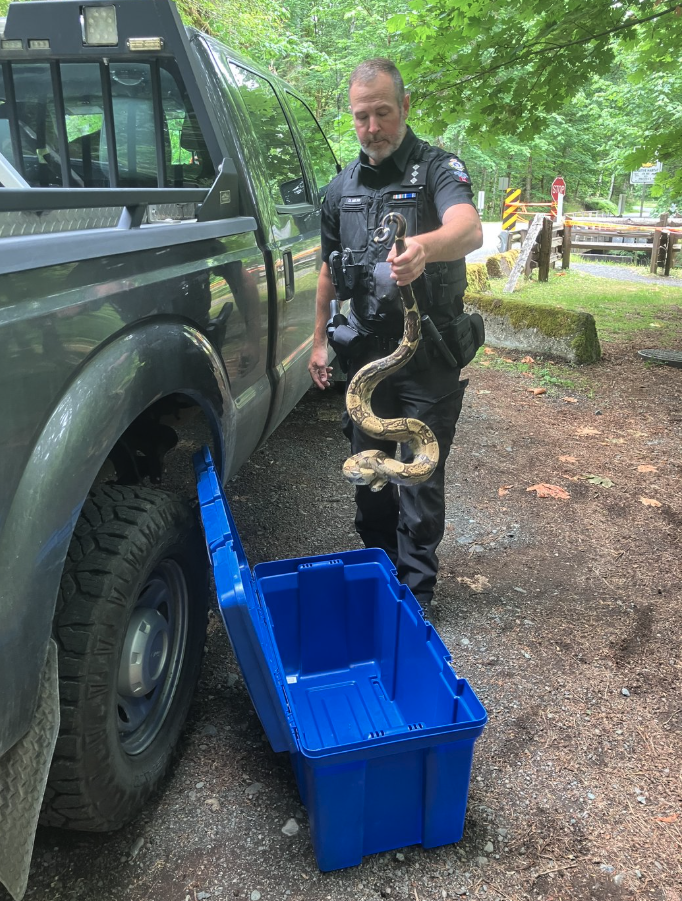 <who> Photo credit: BCCOS