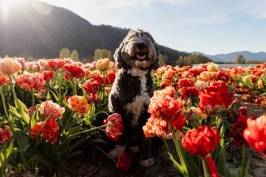 <who>Photo Credit: Contributed