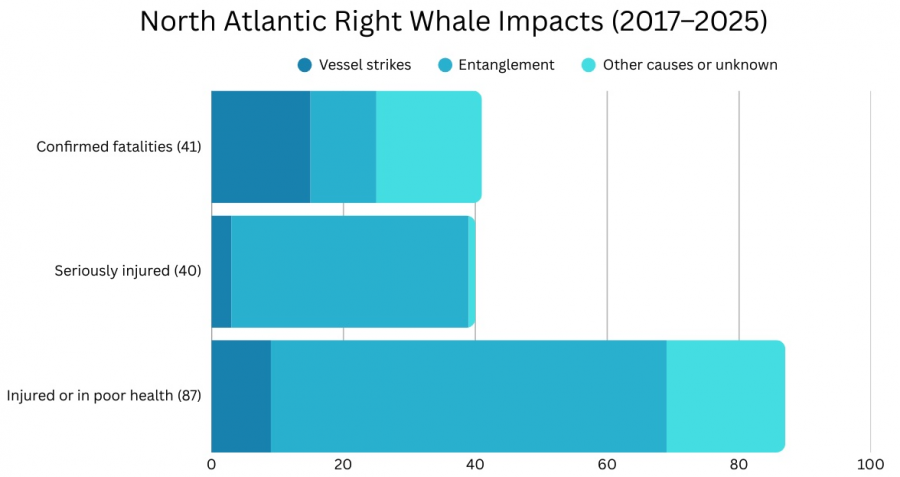 <who> Photo credit: LJI </who> Chart illustrating ghost gear entanglement and other top threats to endangered North Atlantic right whales.
