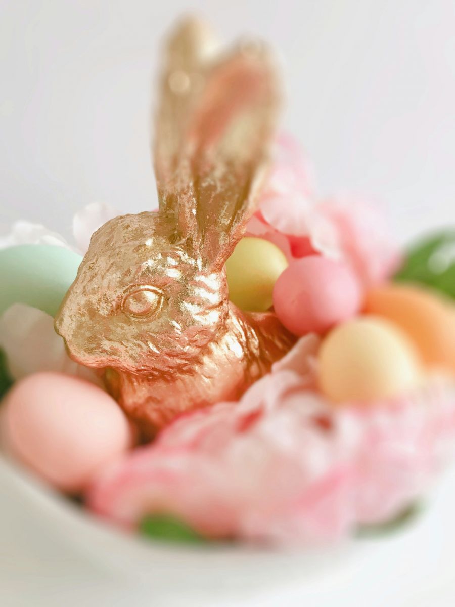 <who>Photo credit: Coco Tafoya on Unsplash</who>Easter chocolate is yummy for humans, toxic for dogs.