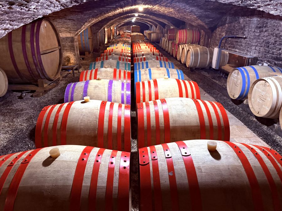 </who>Colour-coded oak barrels at Chateau Famille Picard.