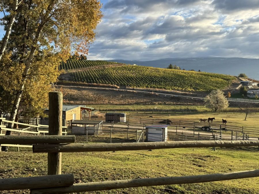 <who>Photo Credit: Critteraid/Facebook