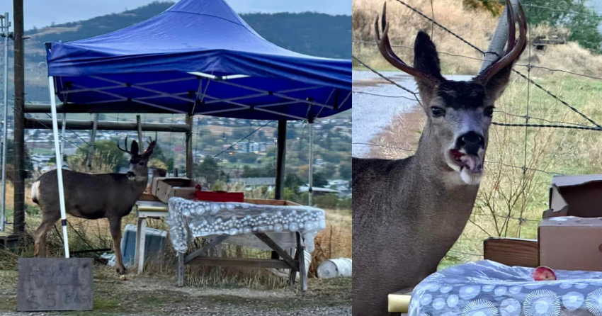 <who>Photo Credit: Scott Butler/Vernon Rant and Rave Facebook group
