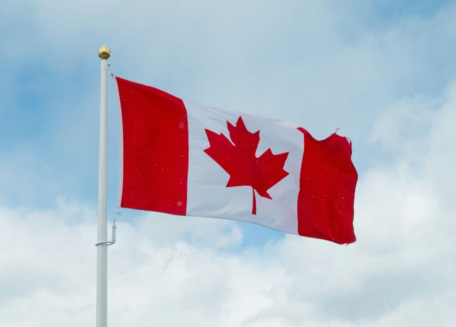 <who>Photo credit: Dillon Lobo on Unsplash</who>Make Rose your new Canada Day go-to drink.