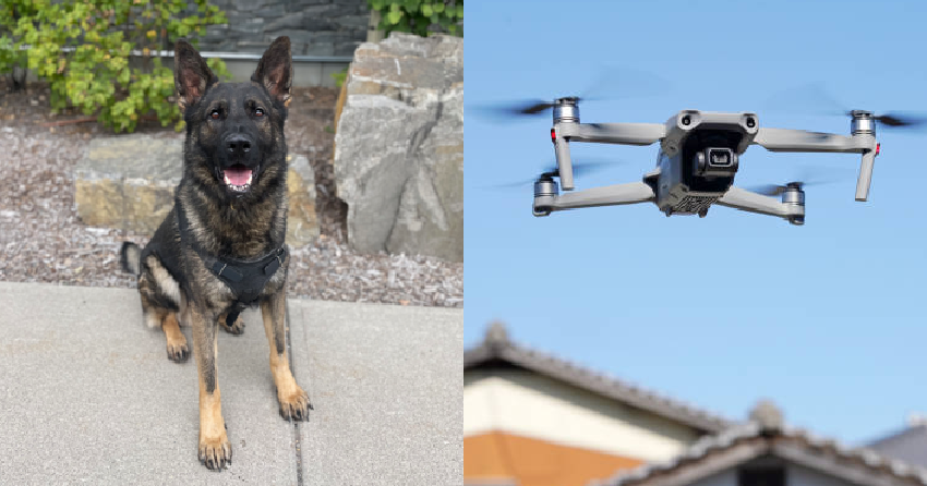 <who> Photo credit: RCMP