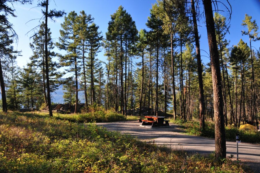 <who>Photo Credit: BC Parks</who>Ellison Provincial Park
