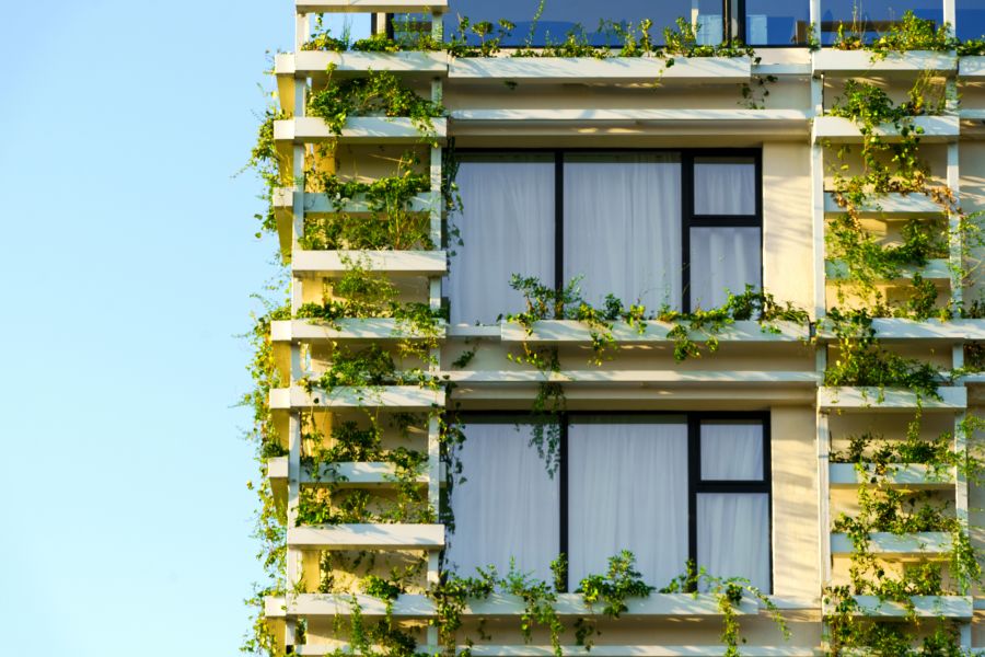<who>Supplied by The Athenaeum</who> A closer look at the plant-covered facade.