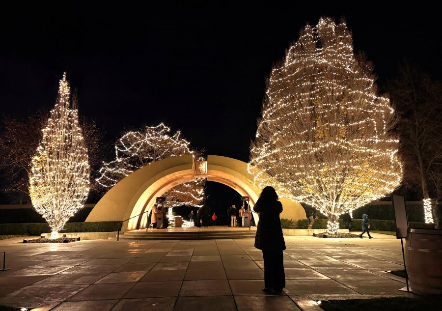 </who>The trees outside at Mission Hill Winery are also lit up.