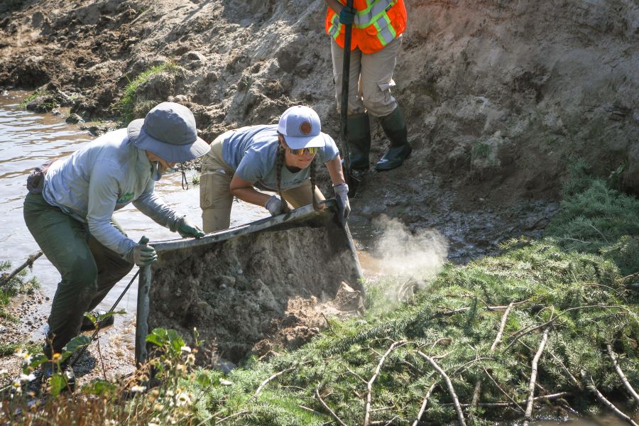 <who> Photo Credit: Aaron Hemens </who>     The BC Wildlife Federation compares building a beaver dam analogue (BDA) to making a ‘dirt lasagne.’ Members of the organization’s watershed team, Kyla Rushton, right, and Katie Blokker, add soil to a BDA along Coteay Creek on Sept. 10. 