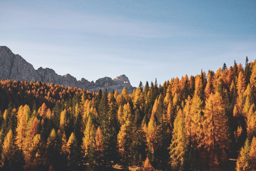 <who>Photo credit: Frederica Galli</who>Fall in BC will last 89 days, 20 hours and 43 minutes.